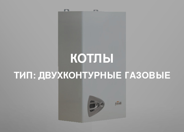Тип: Двухконтурные газовые